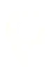 QuickFast project gallery